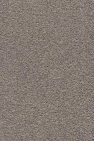 Ковролин AW Vivendi Punch 39 фото 1 | FLOORDEALER